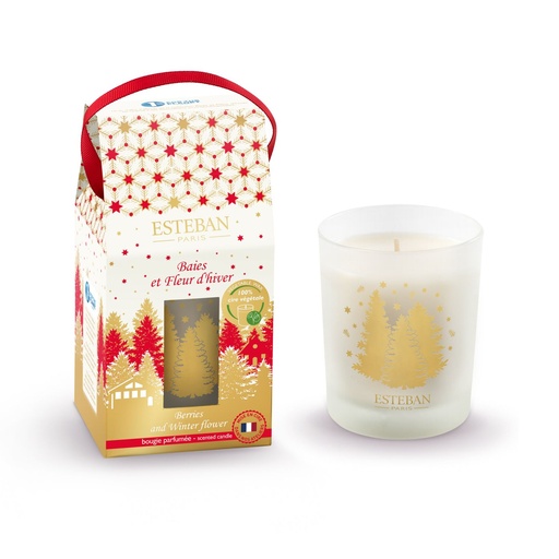 [ELN-126] Bougie parfumée - Baies et fleur d’hiver