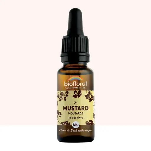 21 Mustard, Moutarde - Bio -Biofloral