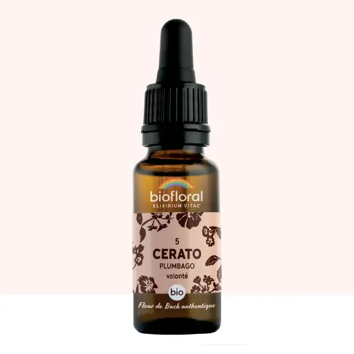 05 Cerato, Plumbago - Bio -Biofloral