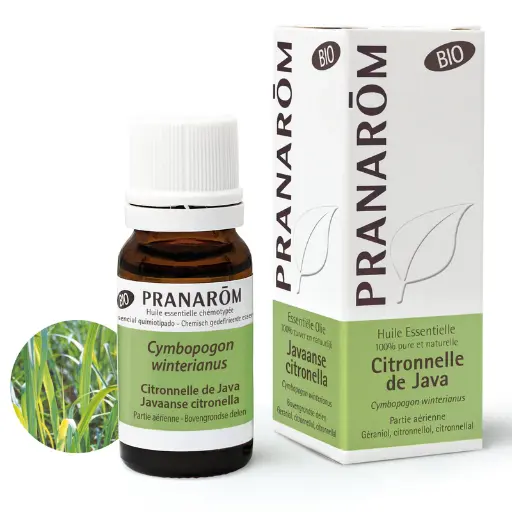 [7262] Huile Essentielle de Citronnelle de Java - Bio - Pranarōm