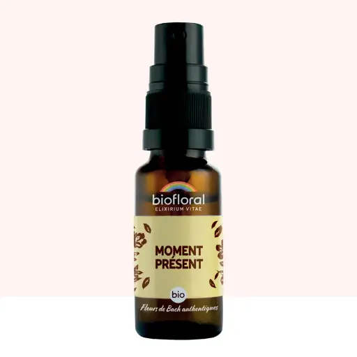 [BF001230] Moment Présent- Bio - Biofloral  
