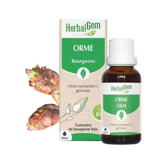 Orme BIO - Herbalgem