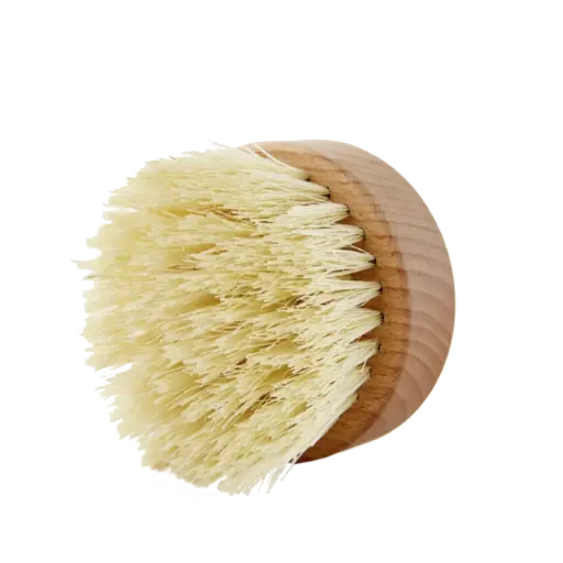 [2008] Brosse de massage à sec - Avril