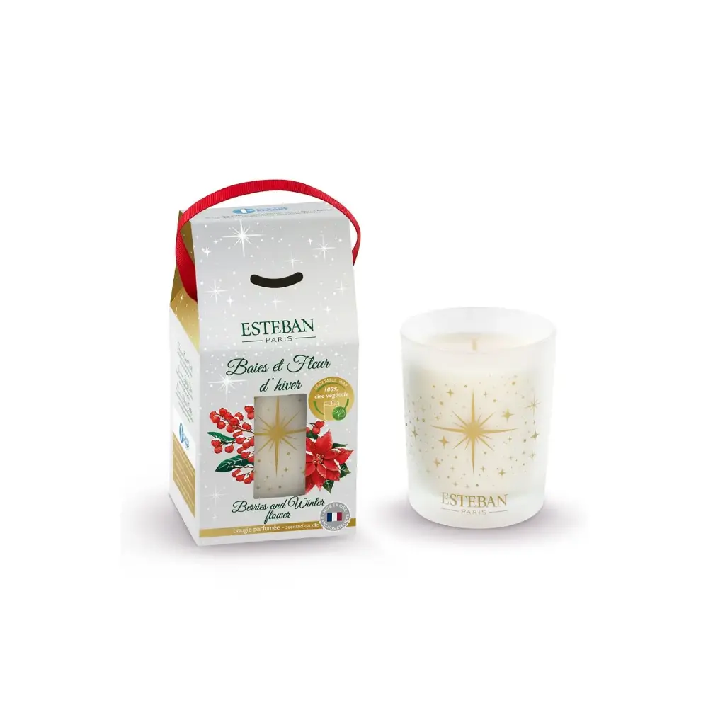 Baies et Fleur d’hiver Bougie parfumée - Esteban